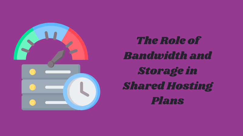 The Role of Bandwidth and Storage in Shared Hosting Plans